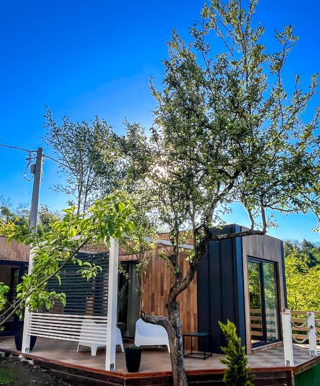 Zahrada ubytování Elysian Fields - Tiny House 'Evergreen'