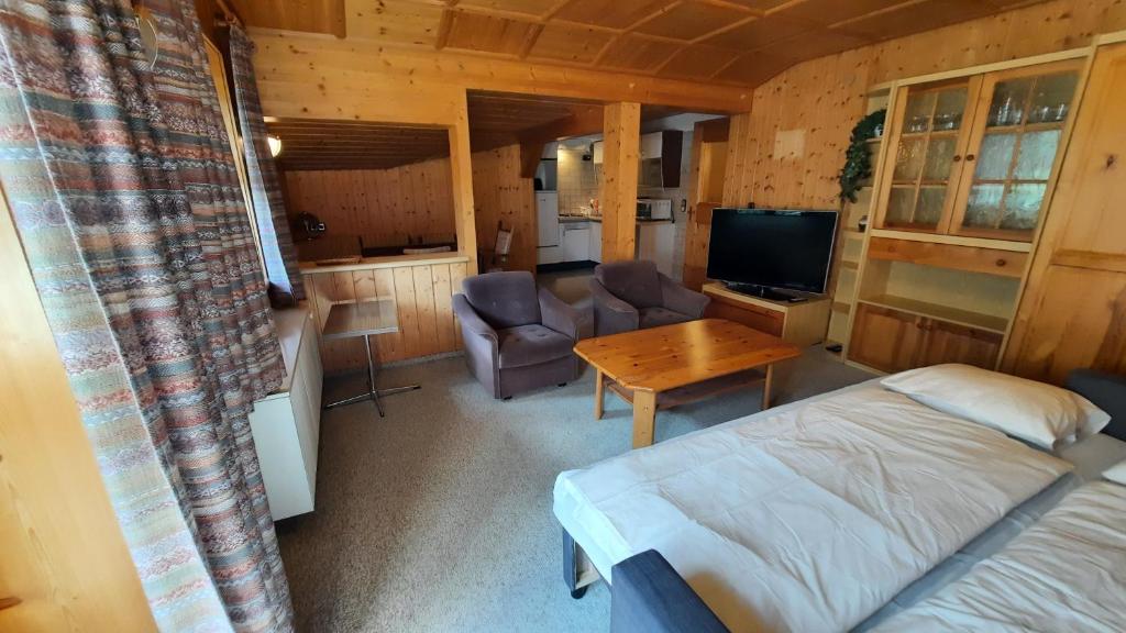 TV a/nebo společenská místnost v ubytování Montafon Valley Apartments