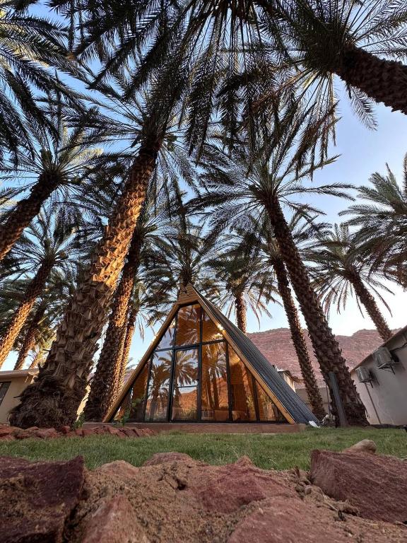 كوخ ساره الريفي في العلا: مبنى على شكل الهرم مع أشجار النخيل أمامه