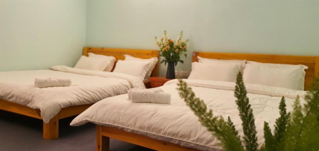 Chất Homestay - Quadruple Room With Mountain View