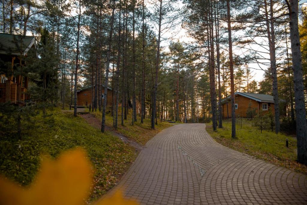 a cobblestone road in a forest with trees at Sea Home Cottages in Ozerki