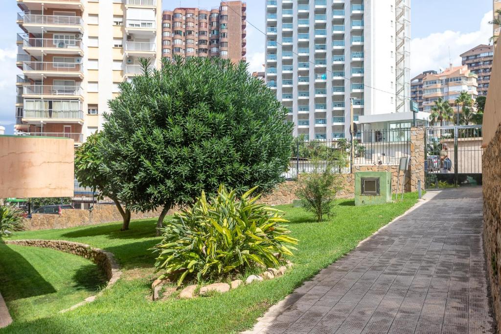 Zahrada ubytování Apartamento Frente al Mar Con Parking