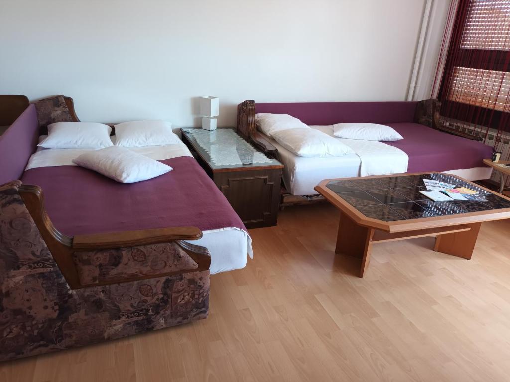 salon z 2 łóżkami i kanapą w obiekcie Studio apartman Lucija w mieście Novi Zagreb