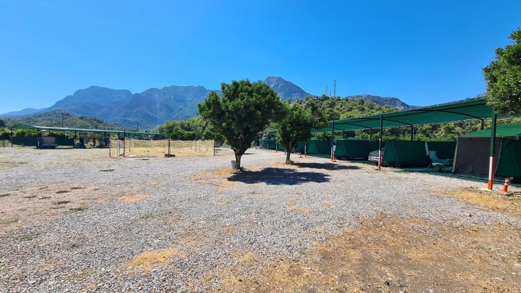 Fotografie z fotogalerie ubytování ORANGE BEACH CAMP v destinaci Beldibi