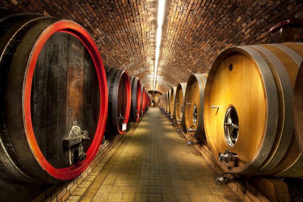 Fotografie z fotogalerie ubytování Vinařský penzion André ve Velkých Pavlovicích