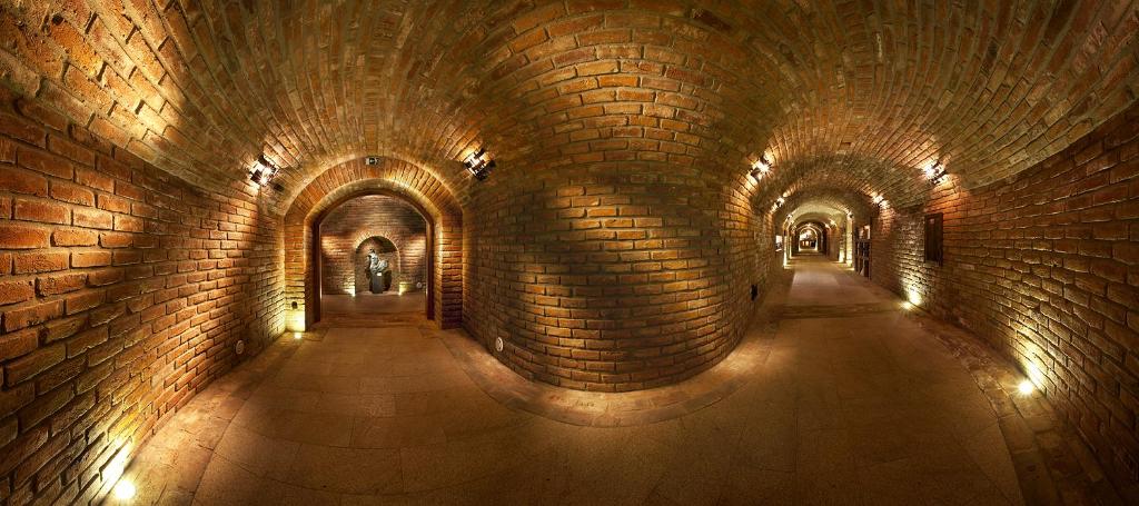Fotografie z fotogalerie ubytování Vinařský penzion André ve Velkých Pavlovicích