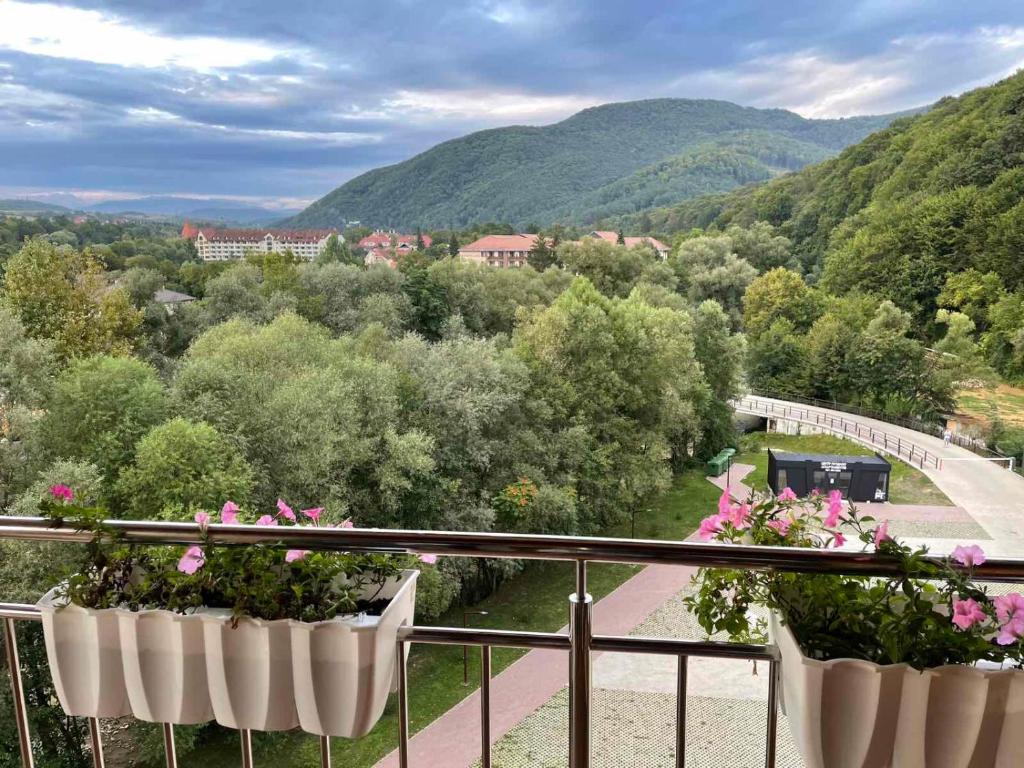 Příroda nedaleko aparthotelu