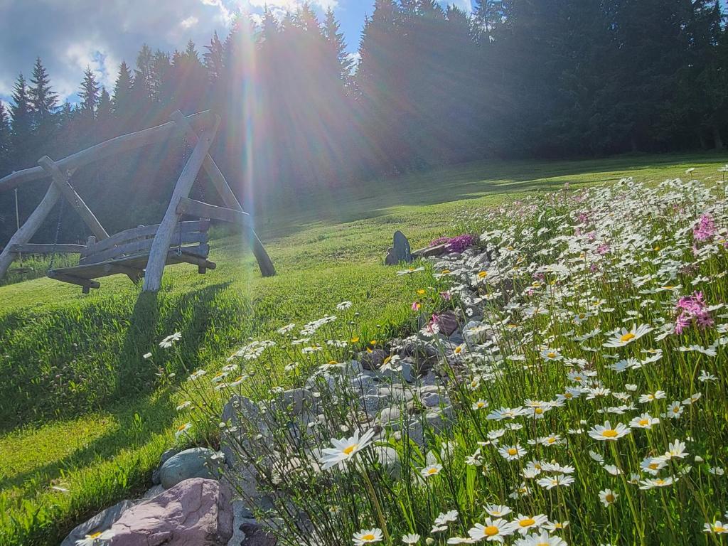 Zahrada ubytování Ferienhof Obertenn
