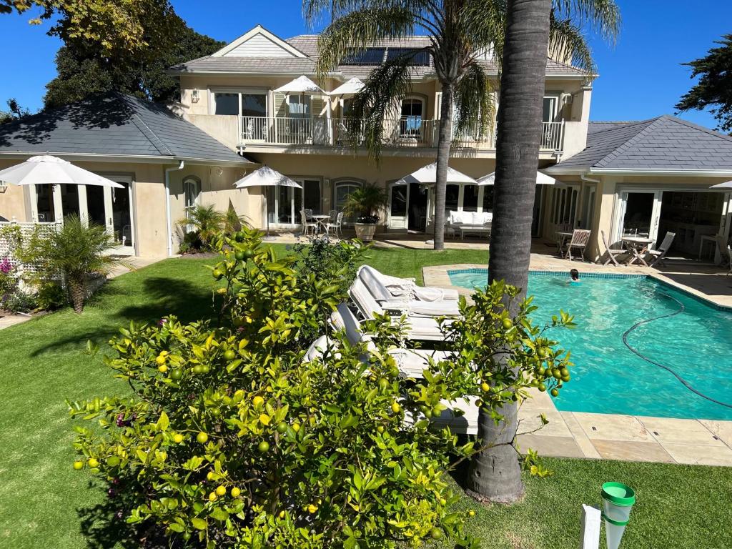 una casa con una piscina y una palmera en Constantia Valley Lodge en Ciudad del Cabo