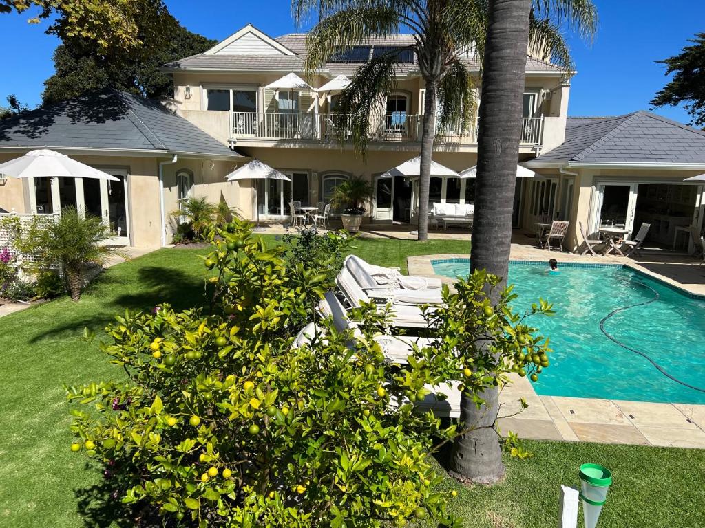 a house with a swimming pool and a palm tree at Constantia Valley Lodge in Cape Town