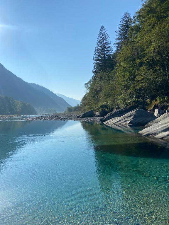 un grande bacino d'acqua con alberi sulla riva di Holiday accomodation Coglio a Maggia