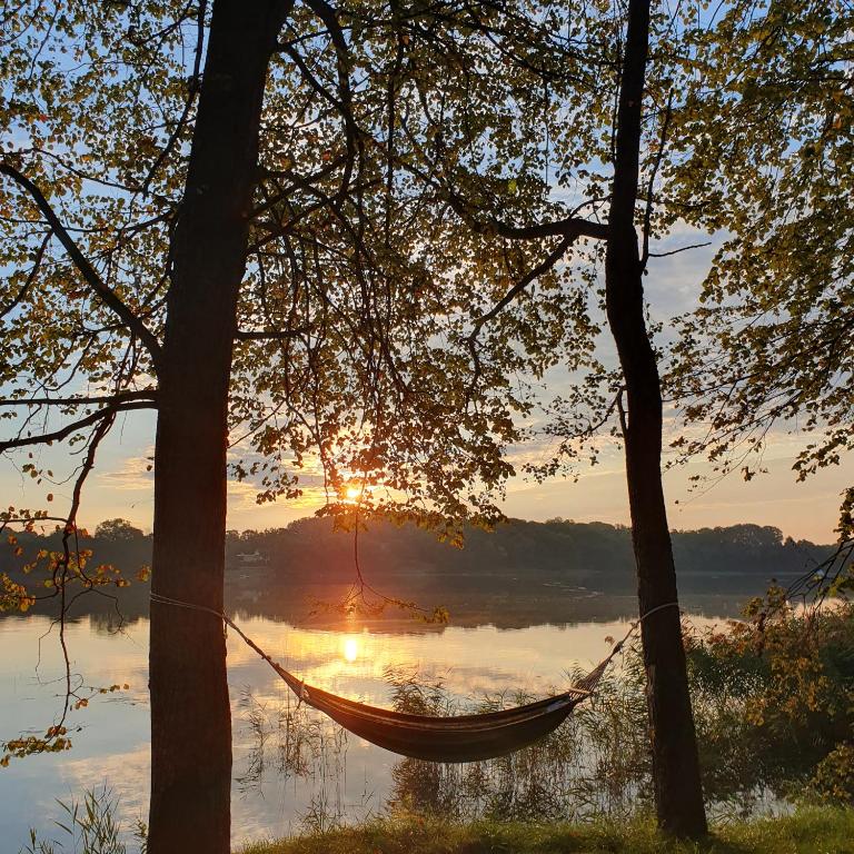 uma rede pendurada entre duas árvores em frente a um lago em Bujanie w sitowiu em Wyszowate