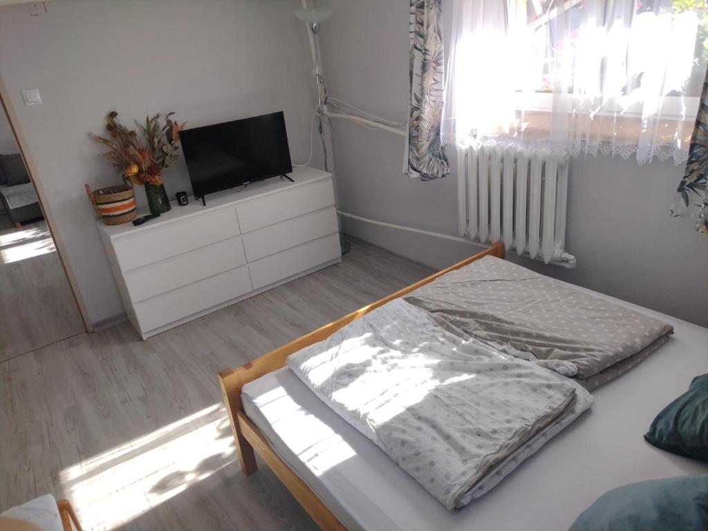 a bedroom with a bed and a flat screen tv at Agroturystyka u Marcelki in Hoczew