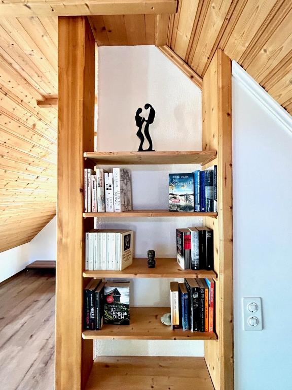 Knihovna v apartmánu