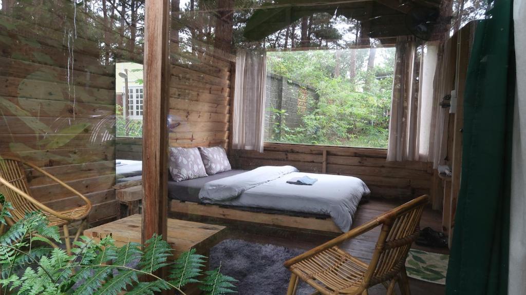 Vườn quanh La Maison Homestay Măng Đen