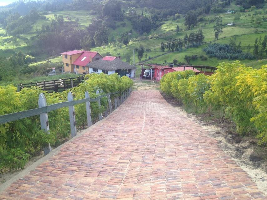 un camino de ladrillo que conduce a una casa en una colina en Cabaña Campestre La Esperanza en Duitama