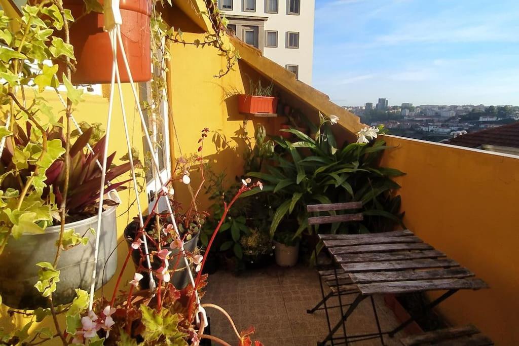 Cordoaria Douro View Apartment, Porto Updated 2024 Prices