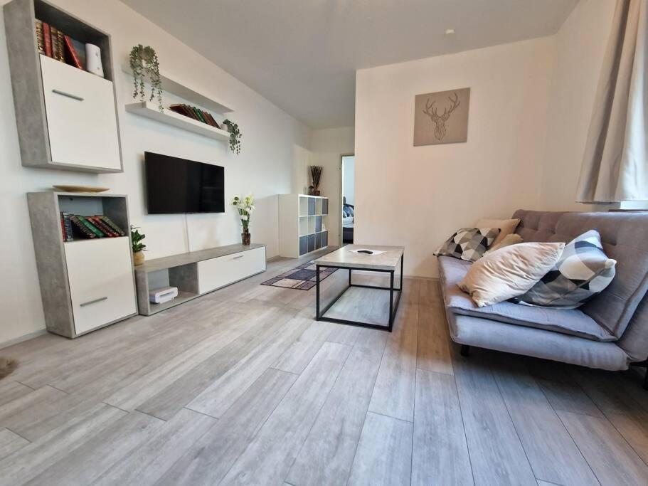 a living room with a couch and a television at Appartement 214 in Bad Goisern in Bad Goisern