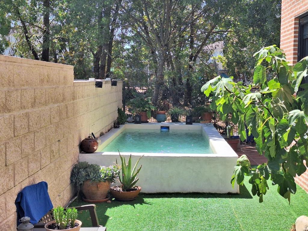 a swimming pool in a backyard with potted plants at Hachazuelas7 in Moralzarzal