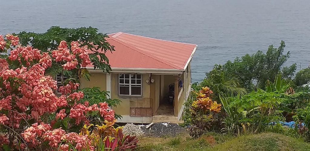 Příroda nedaleko apartmánu