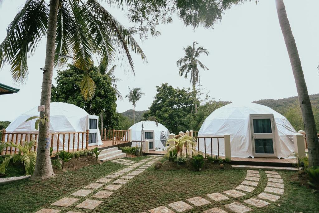 duas tendas yurt de luxo num resort com palmeiras em Shepherds Ridge powered by Cocotel em Mabitac