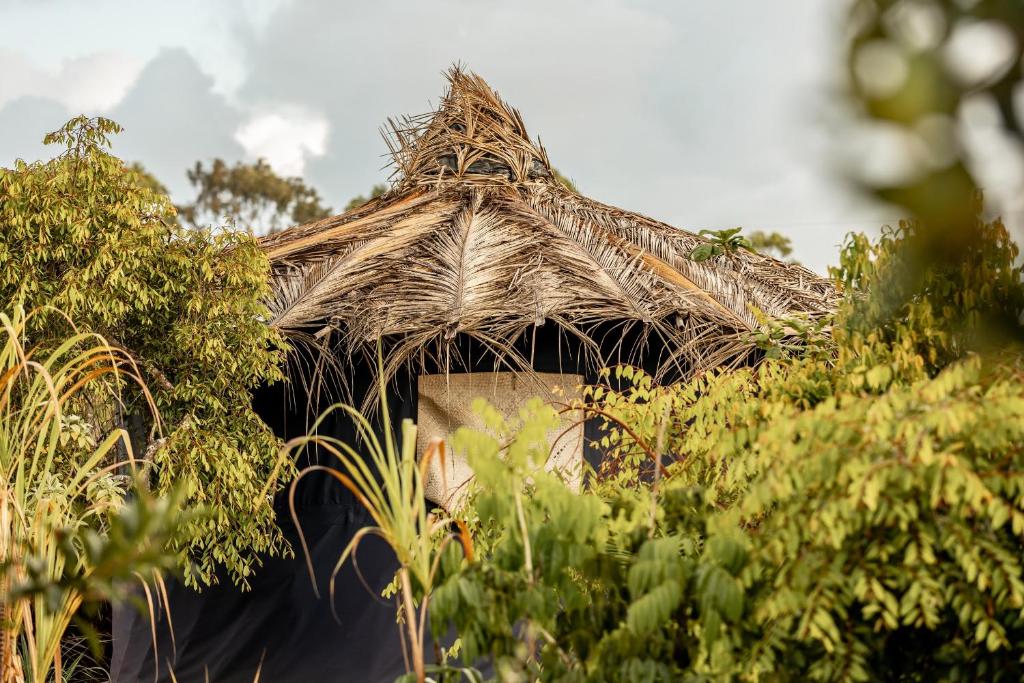 Taman di luar Corumbau Cura