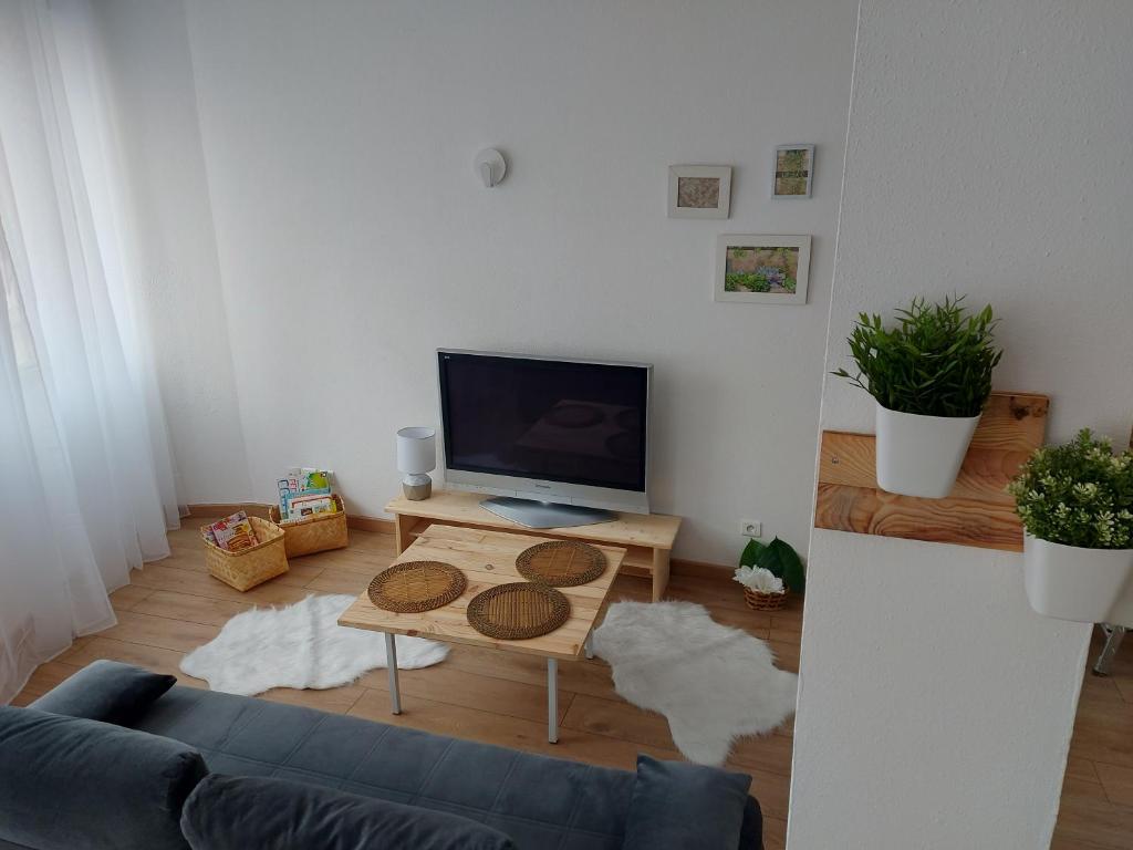 TV a/nebo společenská místnost v ubytování Appart' DuChatelain lumineux, vue sur château