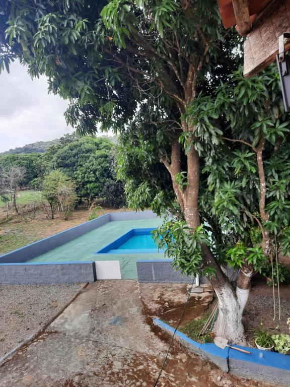 a swimming pool in a yard next to a tree at Valle dos ipês in Tianguá