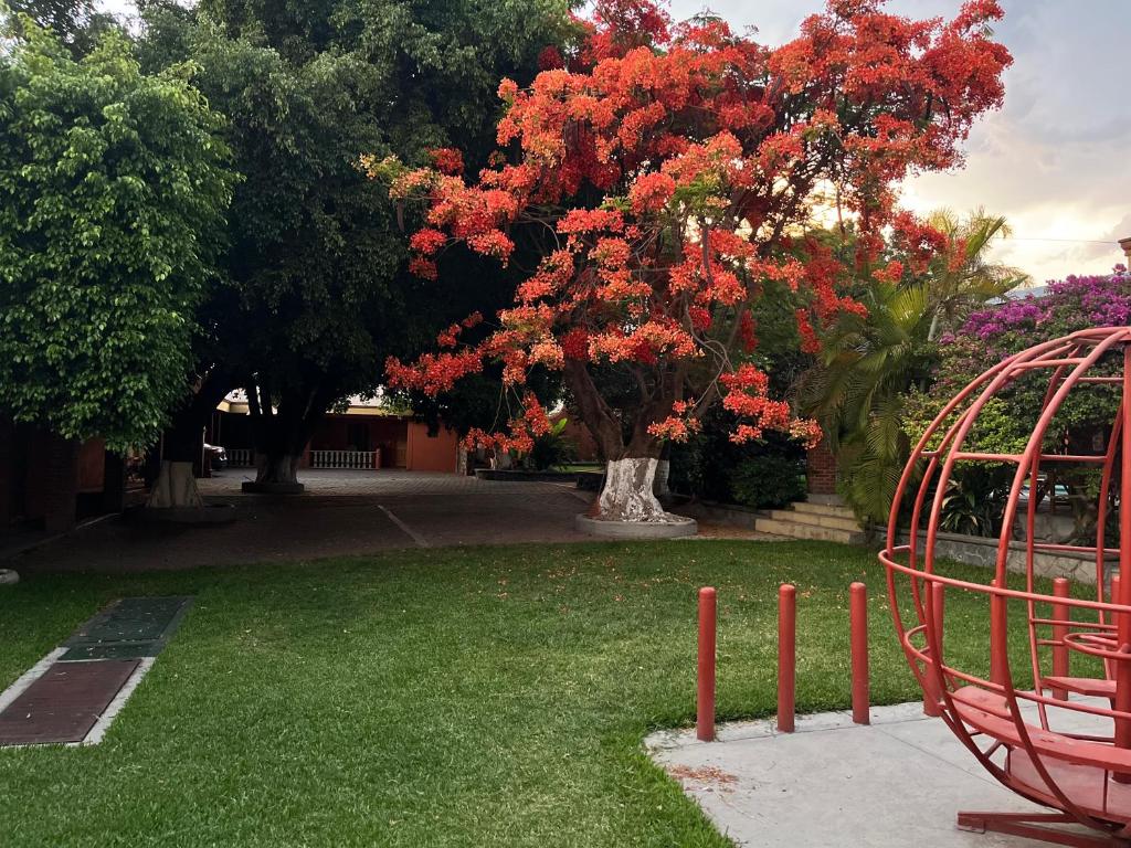 a red tree with red flowers in a yard at Hotel Posada Andaluz in Xochitepec