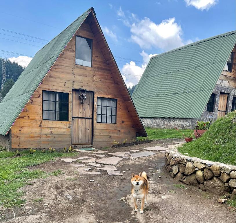 Bosque de Perlillas - Chalet Met Twee Slaapkamers