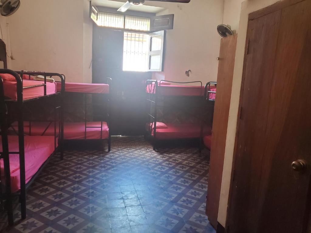 Volcano Hostel - Gemengde Slaapzaal Met 8 Bedden