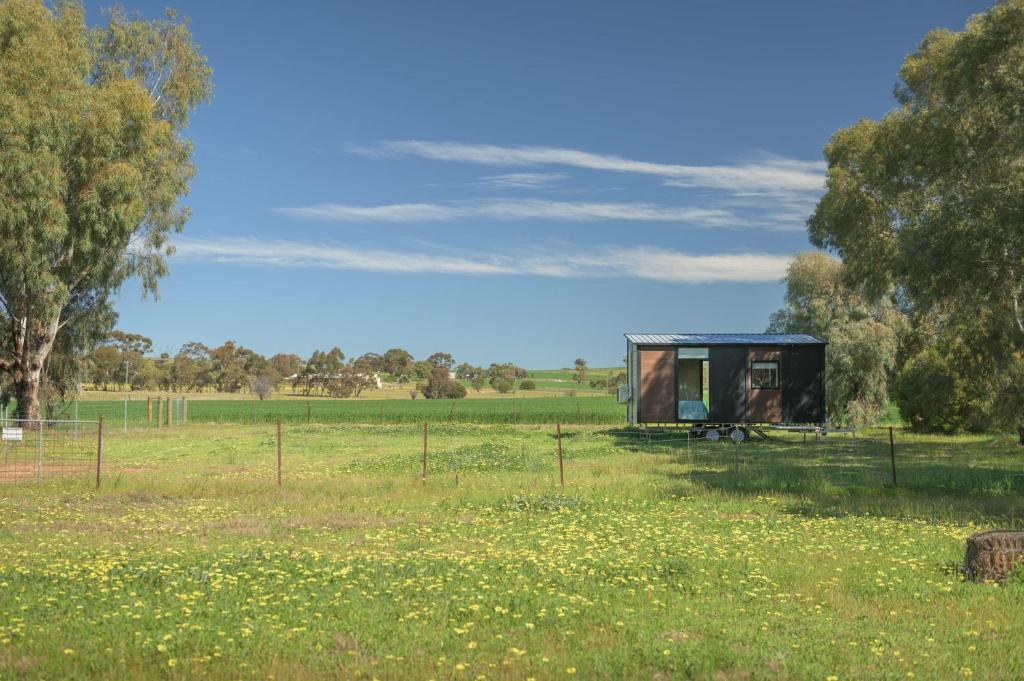 a small shed in a field with a field at Avon River Homestead 