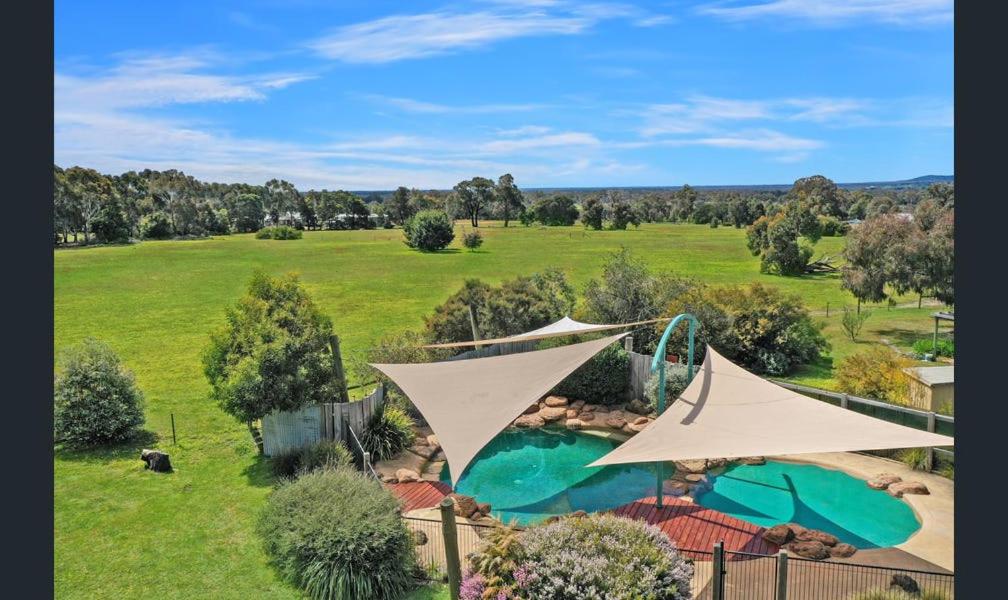 an aerial view of a swimming pool with a tent at Pomonal Cottages Grampians in Halls Gap