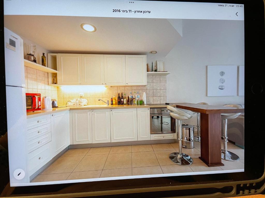 LUXURY APARTMENT FOR SALE IN HERZLIYA BUY LUXURIOUS APARTMENT visual data 8