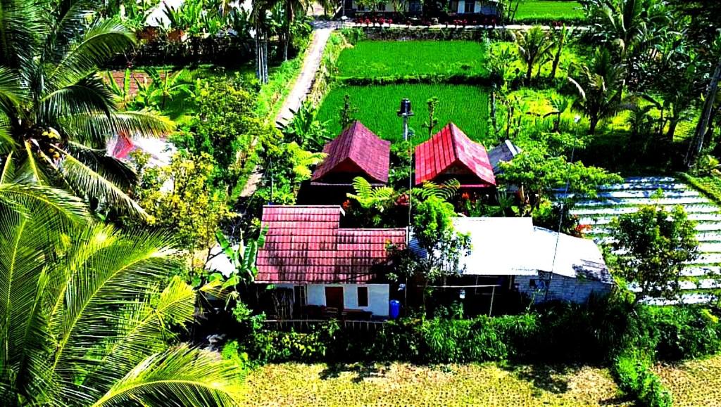 Ariel Bungalow Tetebatu - 16