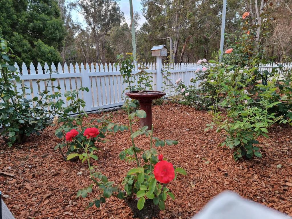 un jardin avec des fleurs rouges et un bain d'oiseaux dans l'établissement Rose Cottage Nannup, à Nannup