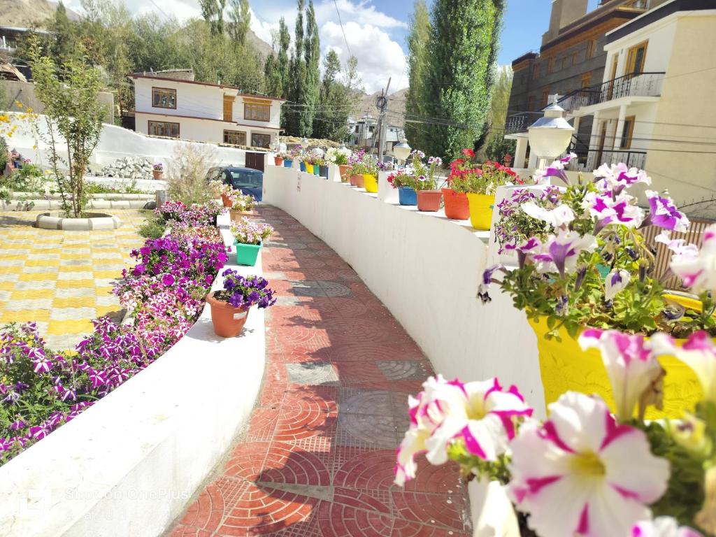 a row of flowers in pots on a wall at Hotel Malik Residency in Leh