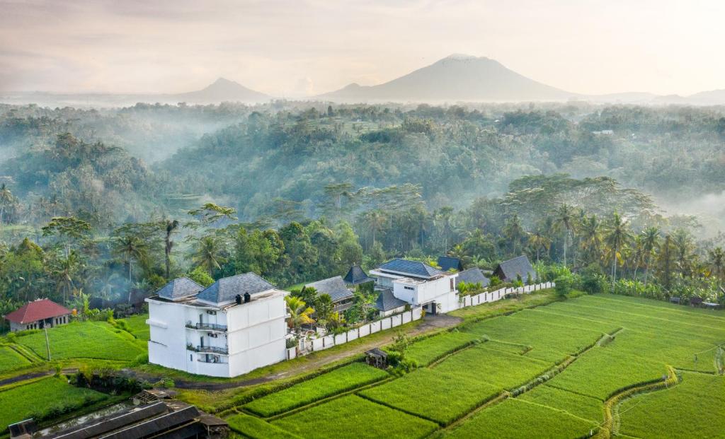 an aerial view of a house in the middle of a field at Abian Taksu Suite & Villas in Tegalalang