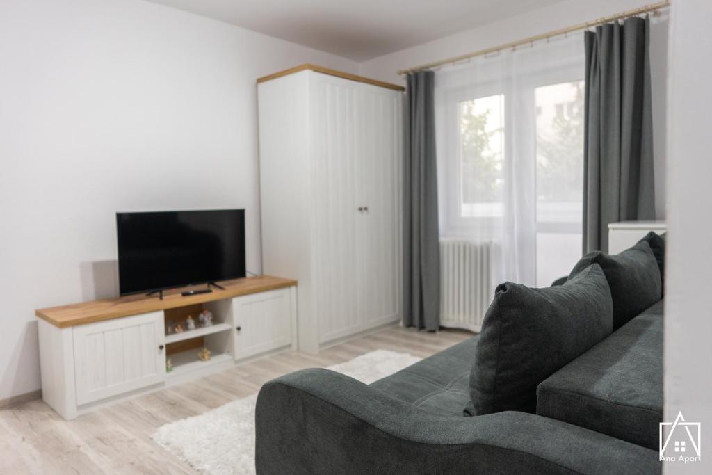 ein Wohnzimmer mit einem Sofa und einem Flachbild-TV in der Unterkunft Ana Apart in Gheorgheni