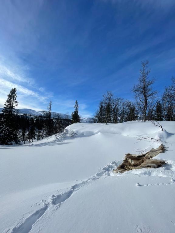 Ottsjö-Åre Lodge v zimě