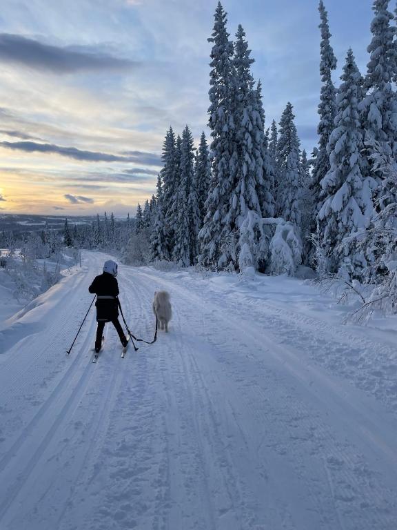 Ottsjö-Åre Lodge v zimě