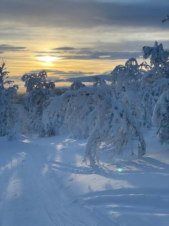 Ottsjö-Åre Lodge v zimě