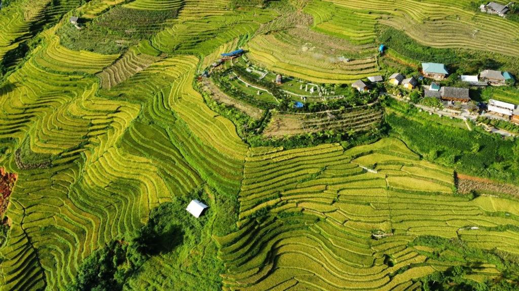 uma vista aérea de um conjunto de campos com terraços em O'chau Homestay Sapa em Lao Cai