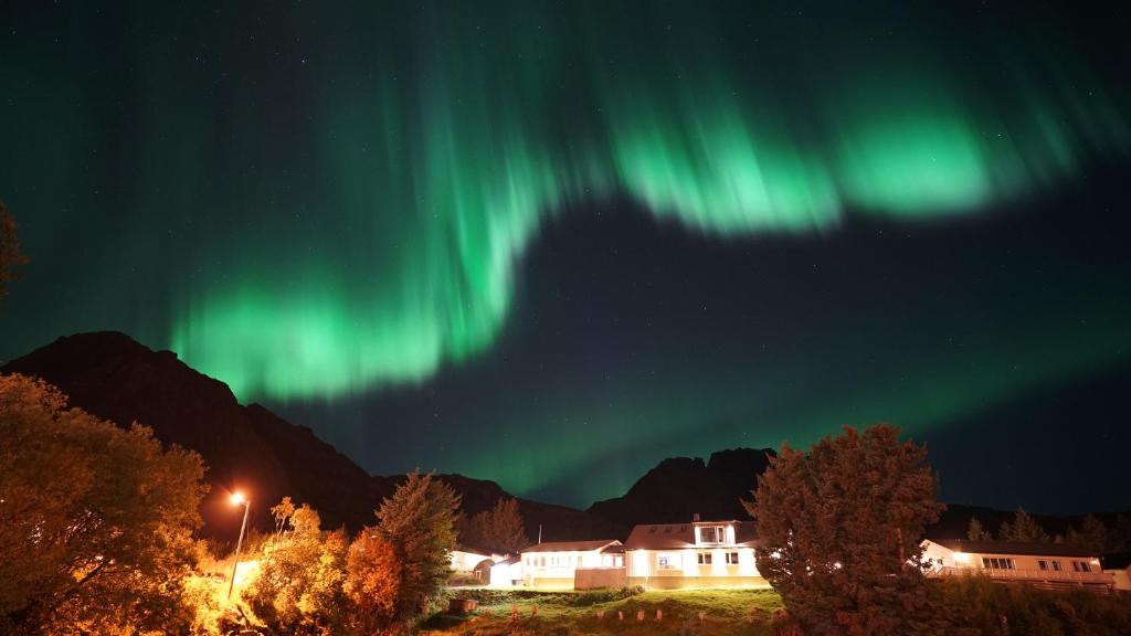 an aurora in the sky over a house with trees at Lofoten Planet BaseCamp in Sørvågen
