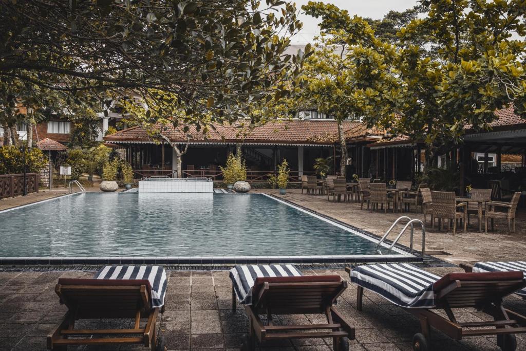 a large swimming pool with chairs and a group oficans at Tree of Life Nature Resort in Kandy