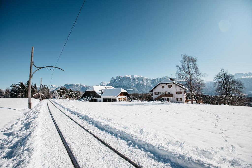 Alpin Farm Birke - Oberweidacherhof v zimě