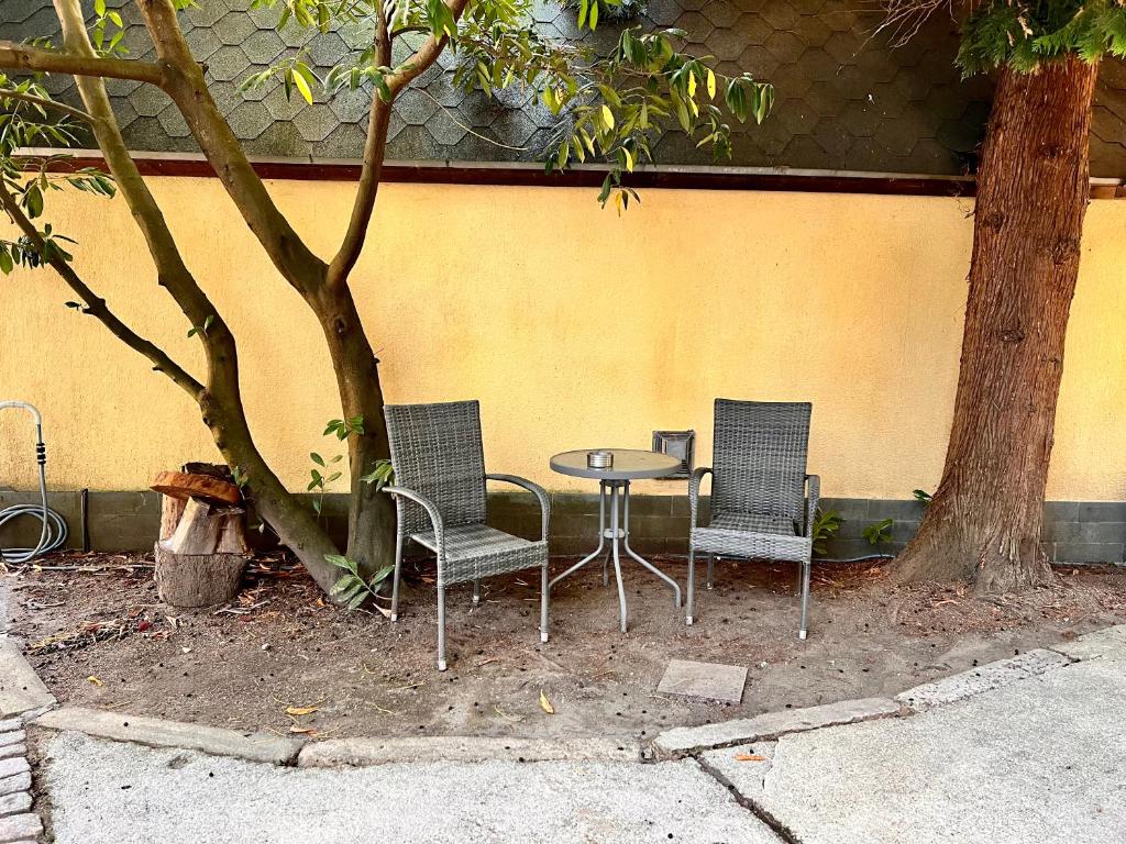 W.I.P. Welt im Park - 18