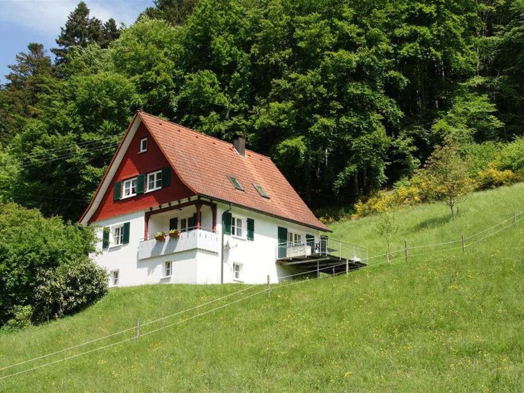 a white house with a red roof on a hill at Haus 1 Hanselishof - 2 Wohnungen in Schenkenzell