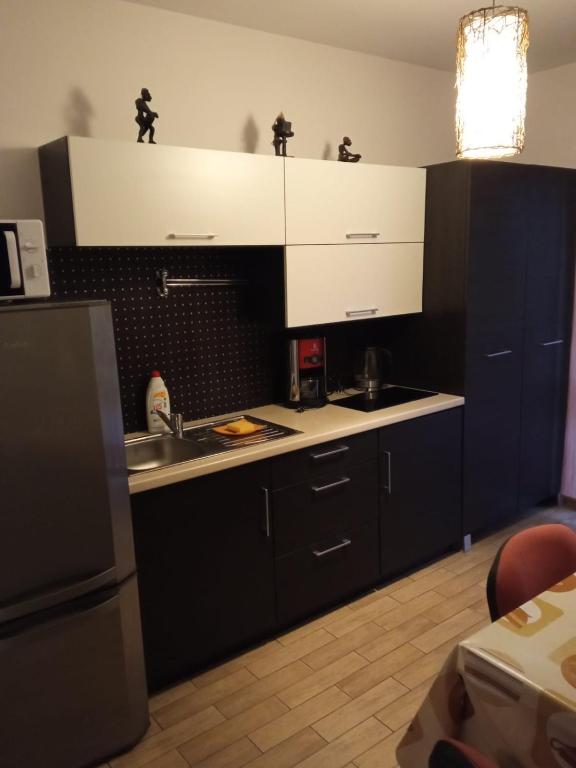 Kuchnia lub aneks kuchenny w obiekcie Belweder Apartamenty i Pokoje