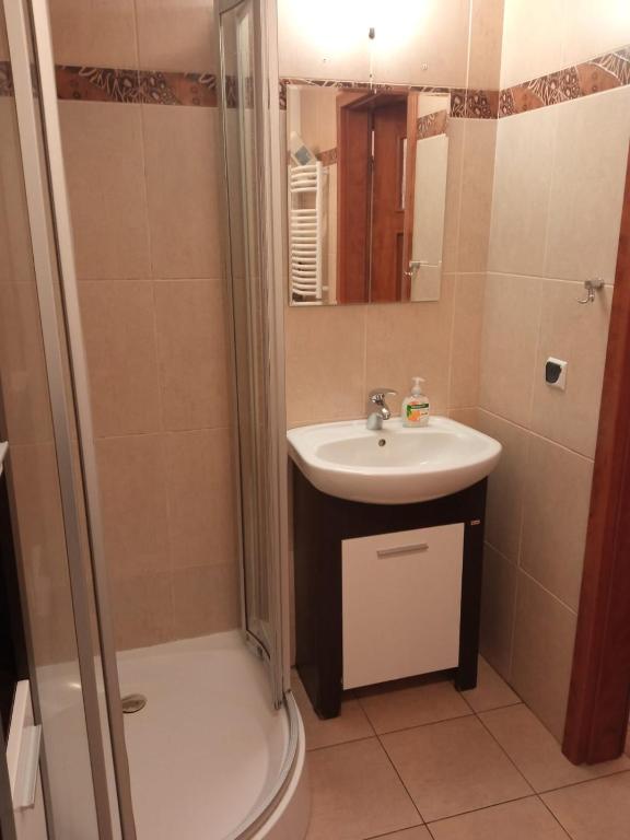 łazienka z umywalką i prysznicem w obiekcie Belweder Apartamenty i Pokoje w Wiśle